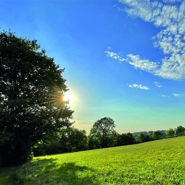 Landschaftsplanung_360x360